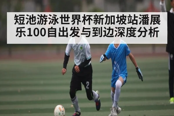 短池游泳世界杯新加坡站潘展乐100自出发与到边深度分析